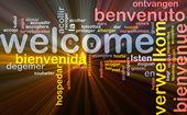 Translation services provider in more than 500 language combinations